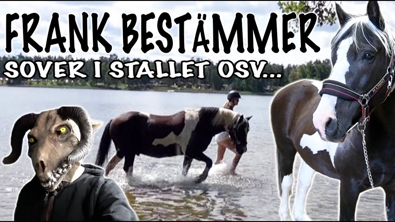 MIN PONNY BESTÄMMER EN HEL DAG