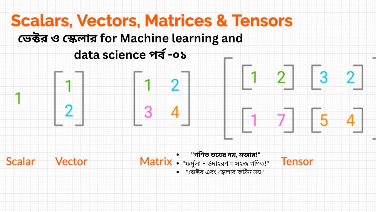 Math for machine Learning in bangla | Vector | Scalar Part-01