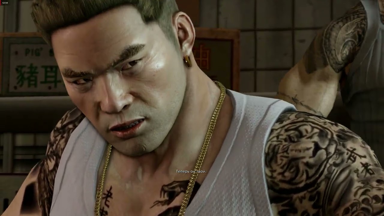 Sleeping Dogs (2)