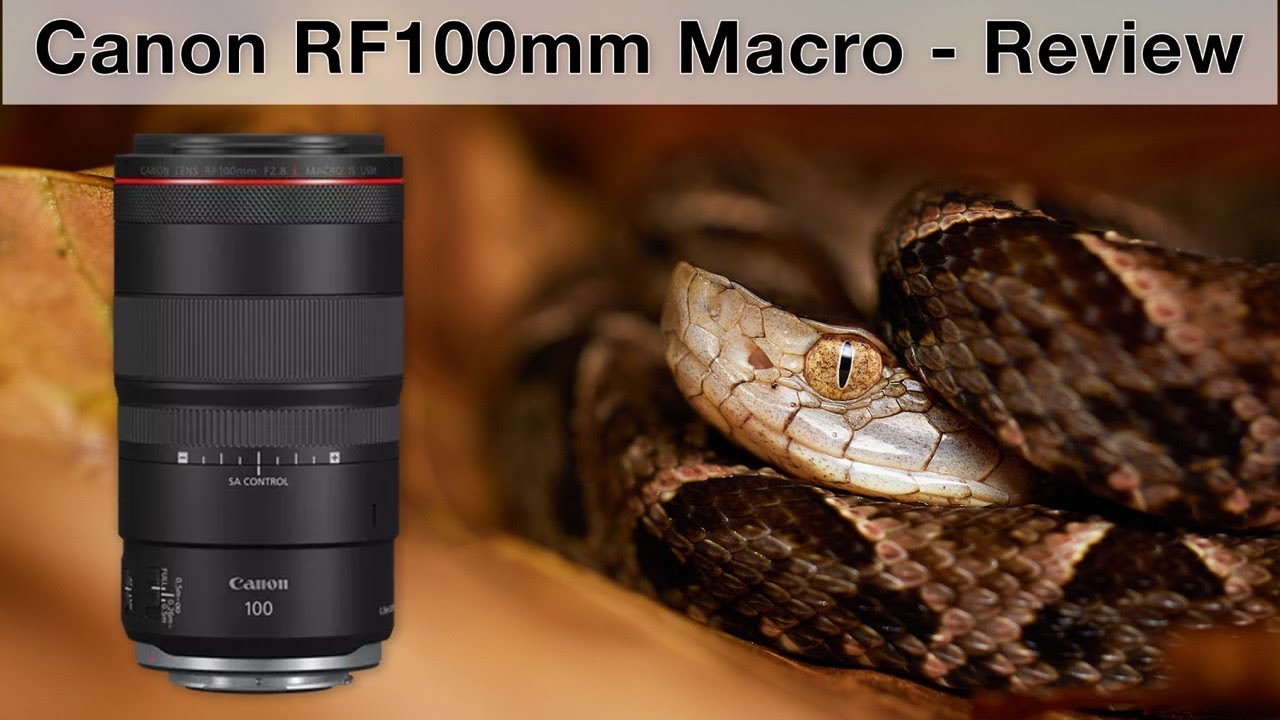 Canon RF 100mm f/2.8 L IS Macro — обзор из Коста-Рики