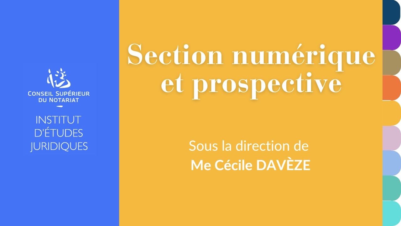 Institut d'Etudes Juridiques (IEJ) - Section numérique et prospective