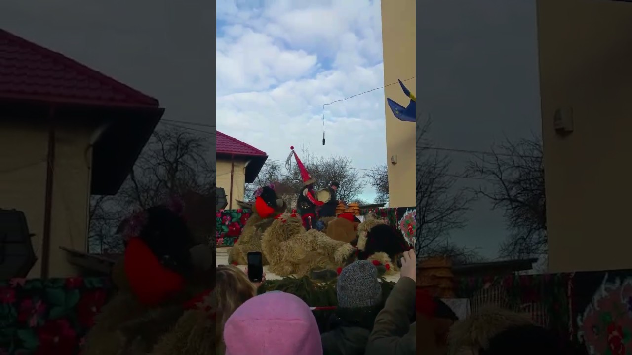 Ursii Vadu moldovei la primarie 2016