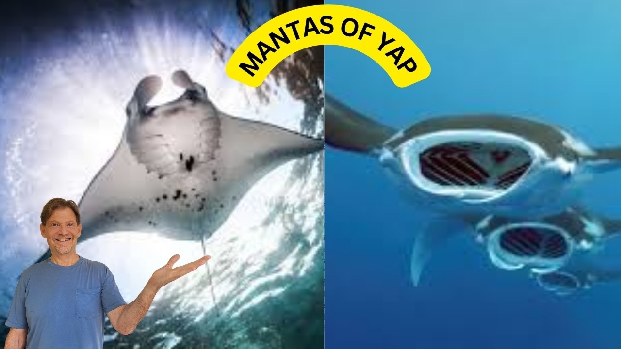 002 Diving with Manta Rays in Yap — Where Ocean & Tradition Meet
