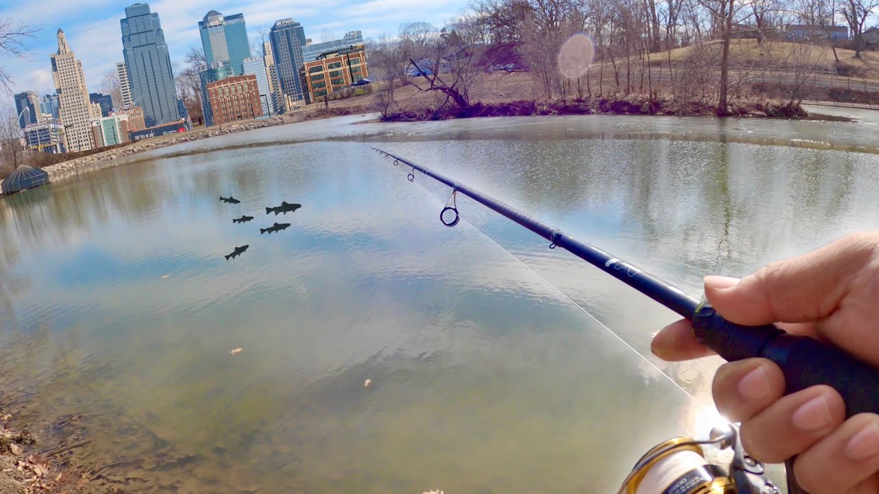 Fishing Urban Kansas City Pond For Hungry Trout - Catch and Cook