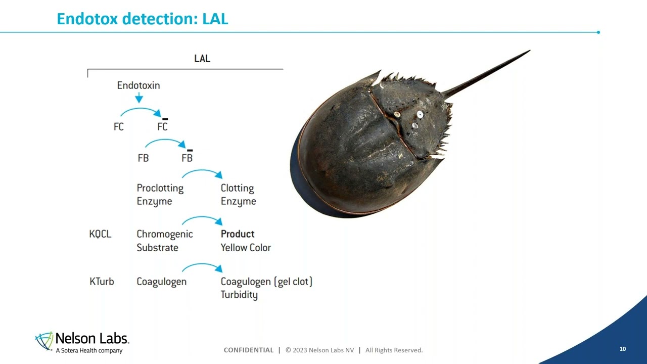 Controlling Endotoxins Contamination during Pharmaceutical Production