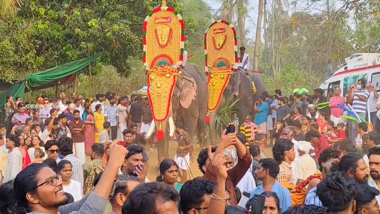 പുതുശ്ശേരി അയ്യംകുളങ്ങര പൂരമഹോത്സവം😍