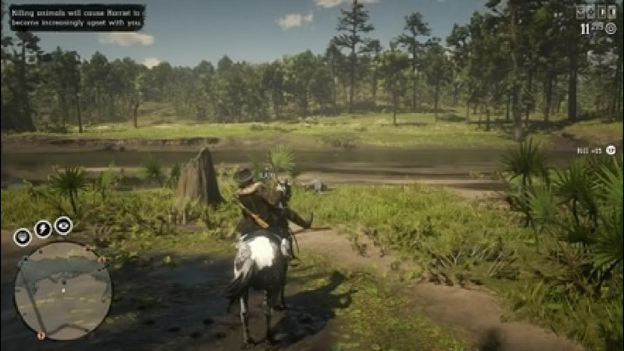 Red Dead Redemption 2_20260113002920