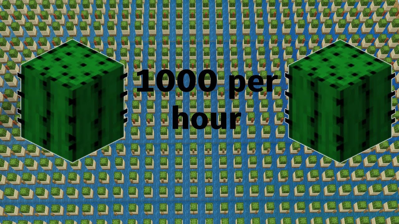 Cubecraft Skyblock: World's biggest CACTUS FARM