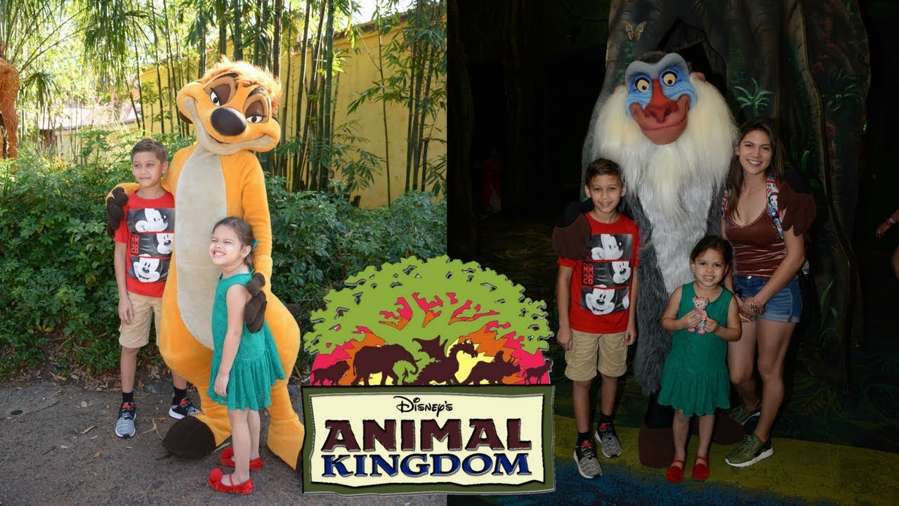 Jessanie meets Rafiki & Timon at Animal Kingdom! | Jessanie’s Adventures