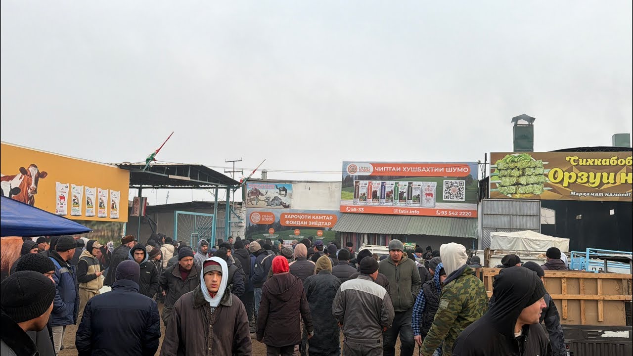 Таджикистан г.худжанд МОЛБОЗОРИ ХУҶАНД в прямом эфире!