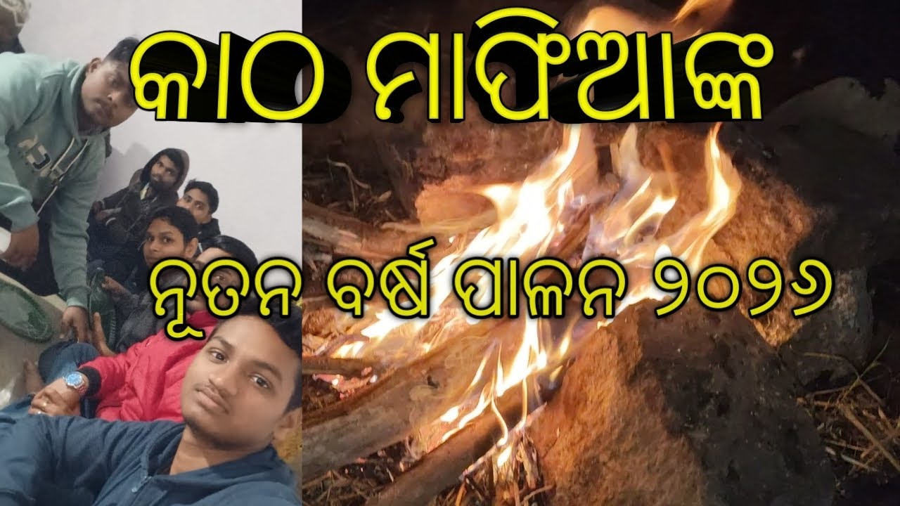 New year celebration 2026|| କାଠ ମାଫିଆ ||#odiavlog#viral#odiafood 