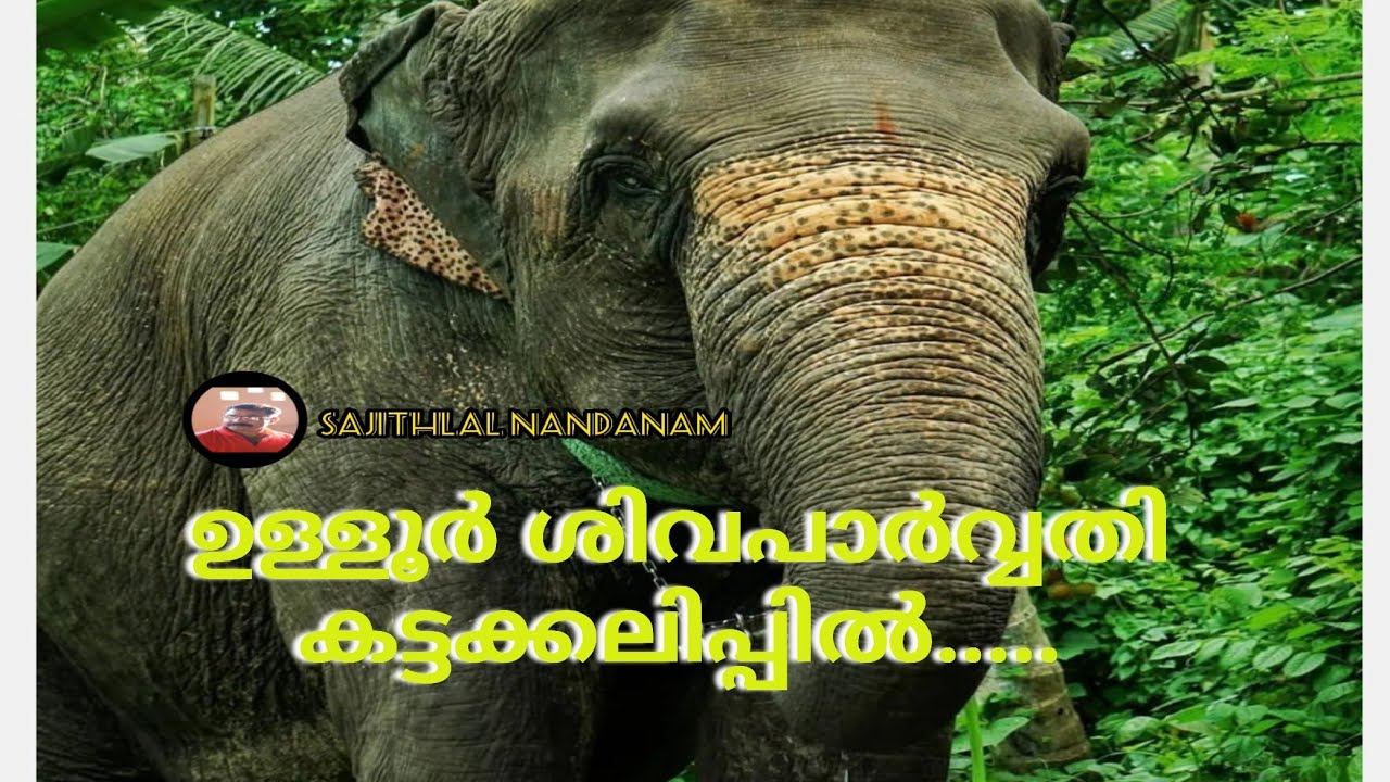 ശിവപാർവ്വതി ഒന്നു പിണങ്ങിSivaparvathy onnupinangiകാണേണ്ട ഒരുകാഴ്ചയാണേ ഇനി കണ്ടില്ലെന്നുമാത്രംപറയരുത്