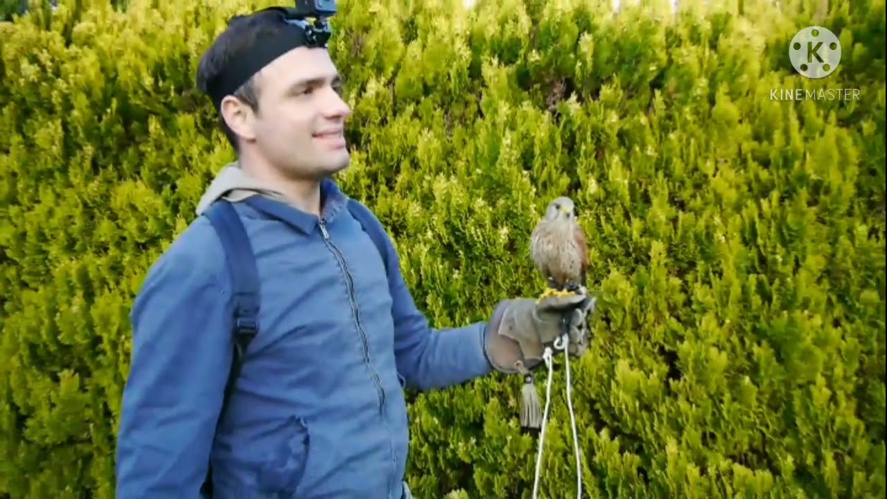 Cosa c'è dietro un volo?