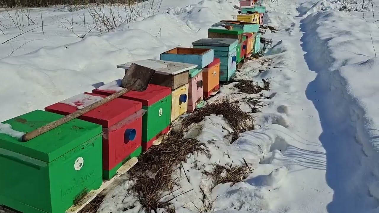 1й облёт, начало сезона 2026 года. 11 марта.