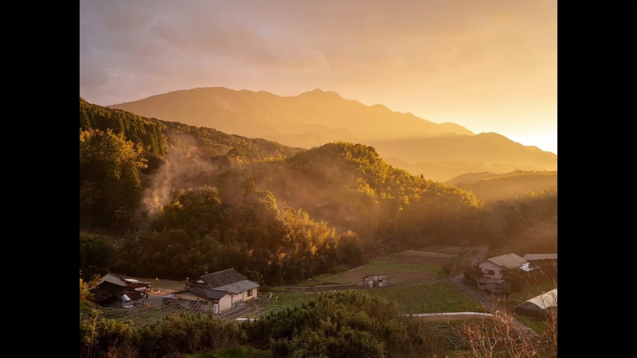 Morning village bliss: Original Birds Chirping & Nature Sound | Originalvillagezen 