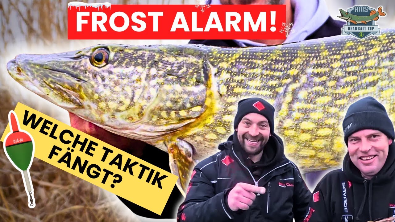 Frost-Alarm: Diese Taktik bringt den Hecht!
