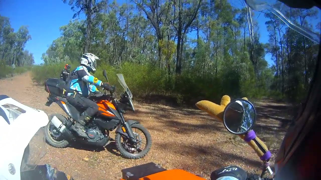Yelarbon State Forest - Part 1 - Adventure Ride