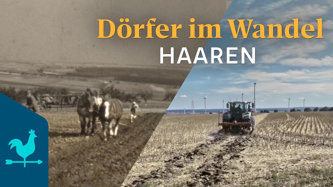 D&ouml;rfer in Westfalen. Gestern und heute. - Haaren