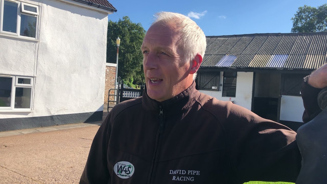 David Pipe Horse To Follow 2021/22 Season