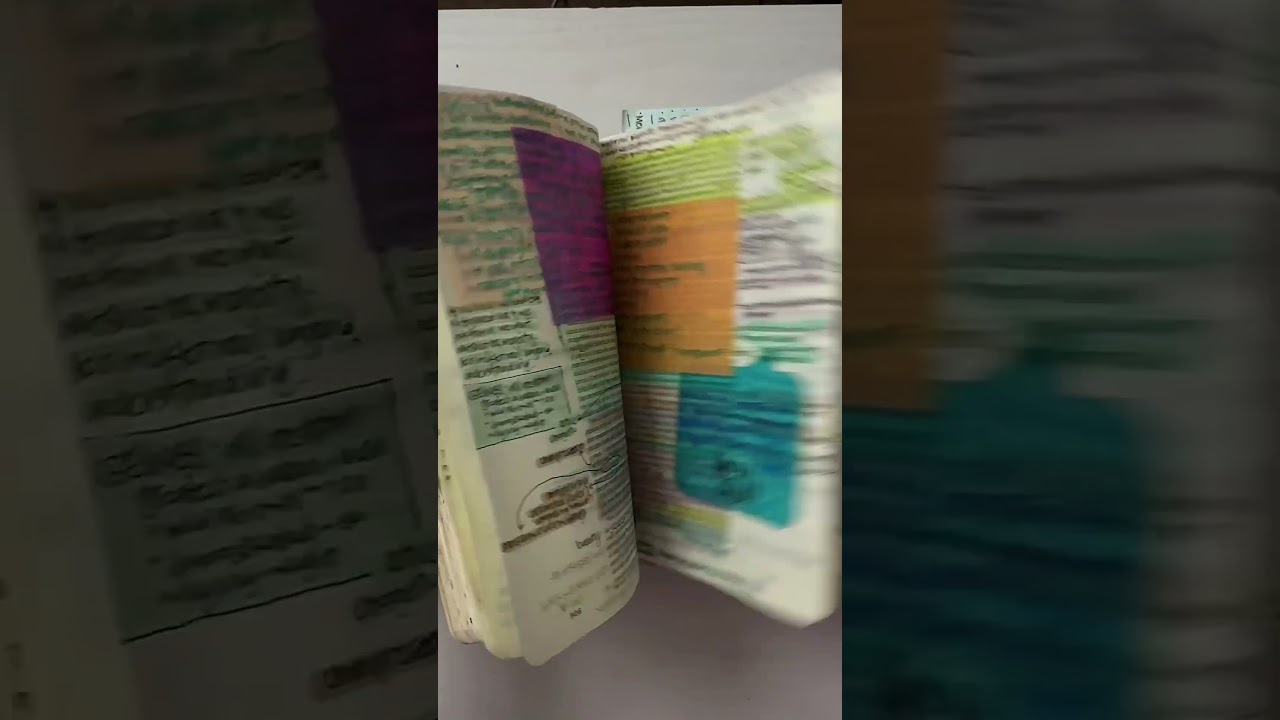 Journaling Bible Flip Through! Full flip on my channel. #biblestudy #bible