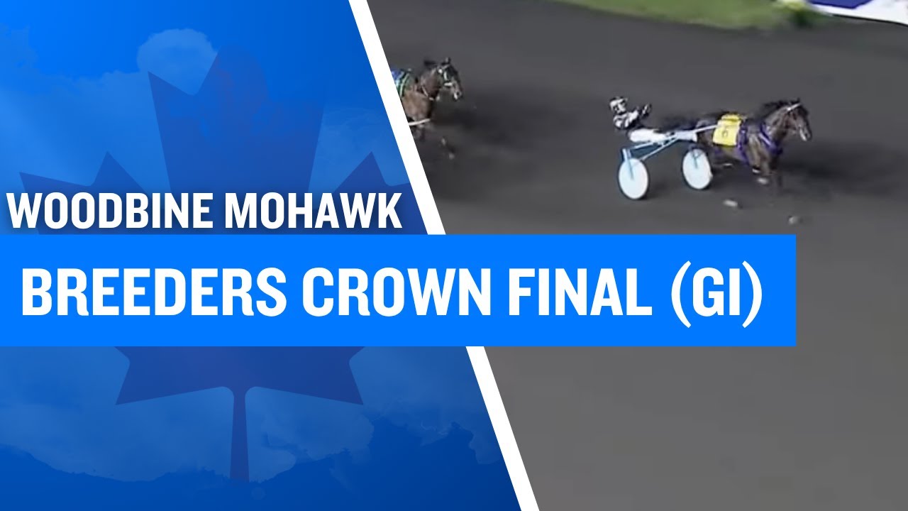 Undefeated BEAU JANGLES Wins the Breeders Crown