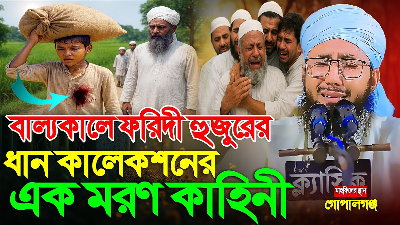 ছোট ফরিদী হুজুরের বাস্তব জীবনের কাহিনি | মুফতী আব্দুর রব ফরিদীর কান্না | Mufti Abdur Rob Foridi