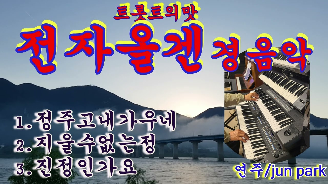 트롯트의맛 # 전자올겐경음악 # 정주고내가우네 # 지울수없는정 # 진정인가요#