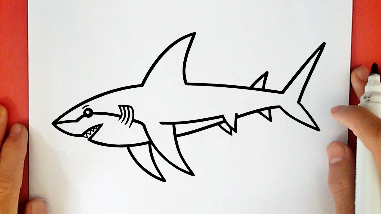COMMENT DESSINER UN REQUIN BLANC