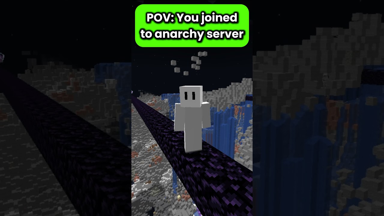 POV You joined to anarchy server