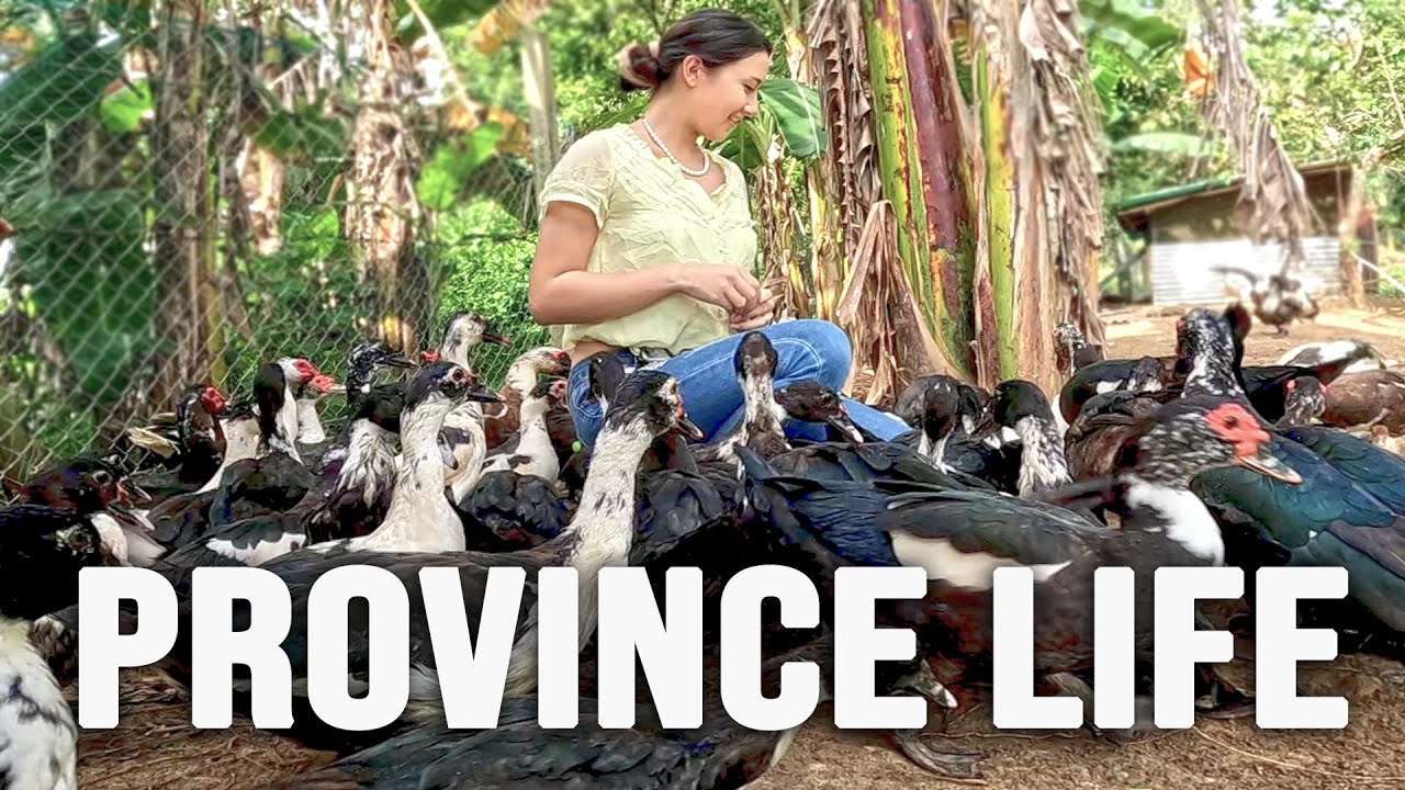 Should We Move To The Province? Philippines Working Farm