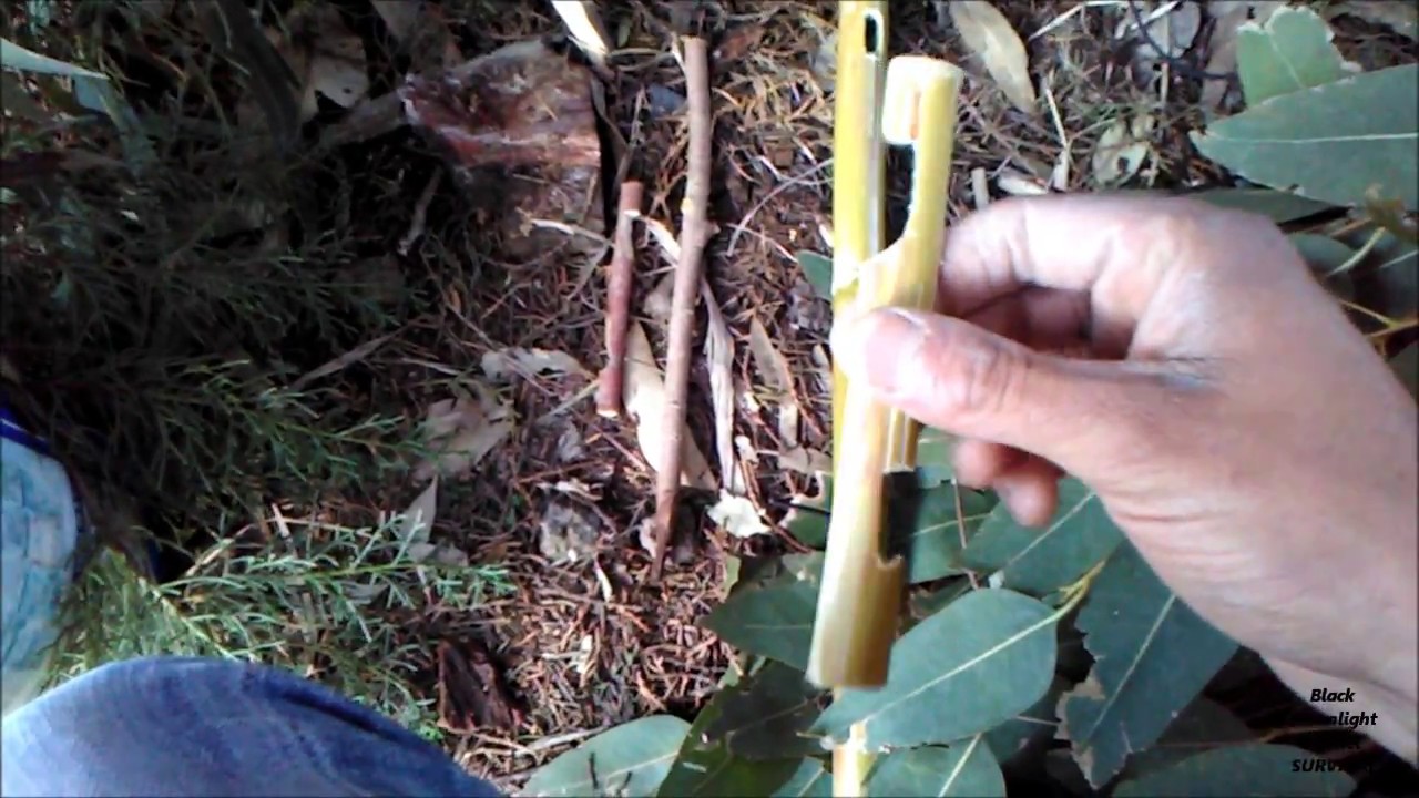 Survival trap in action...How to make... Carrying trap...  Sopravvivenza â€“ Lâ€™ Survival