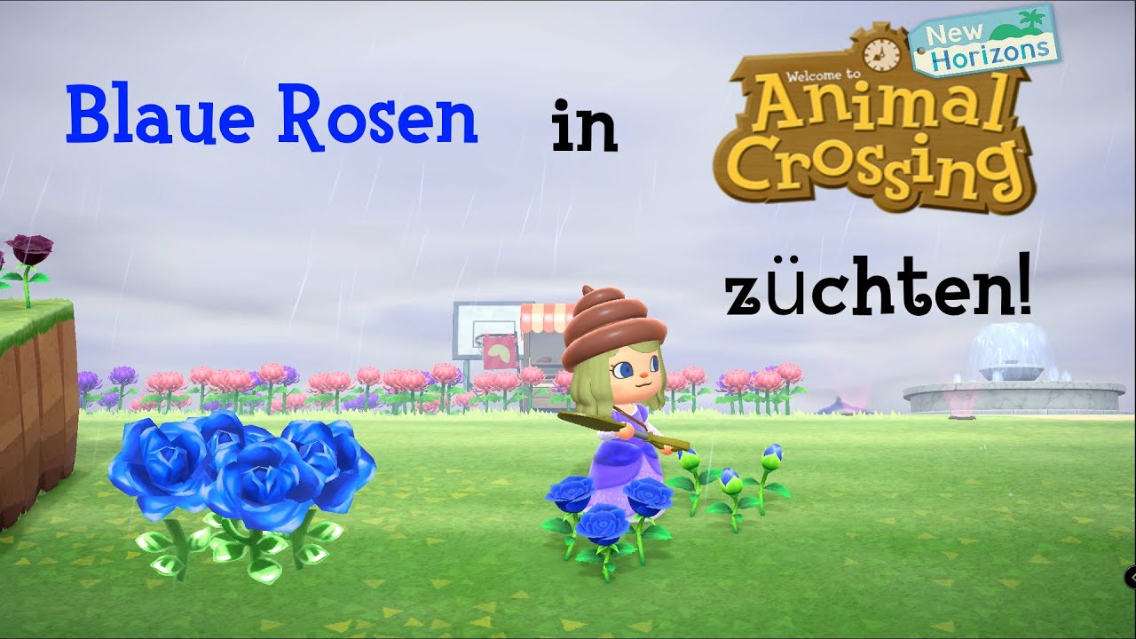 ANIMAL CROSSING - NEW HORIZONS - BLAUROSEN ZÜCHTEN!!!