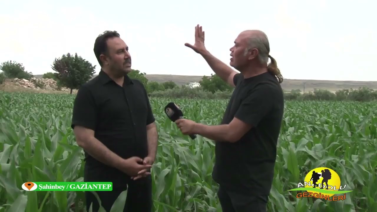 şahinbey tarım part 3