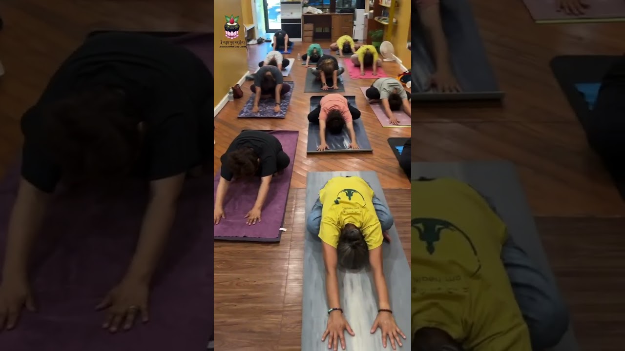 གཟའ་ཉི་མའི་ཞོགས་པའི་ལུས་སྦྱོང་ཡོ་ག  Sunday Morning Yoga Stretching