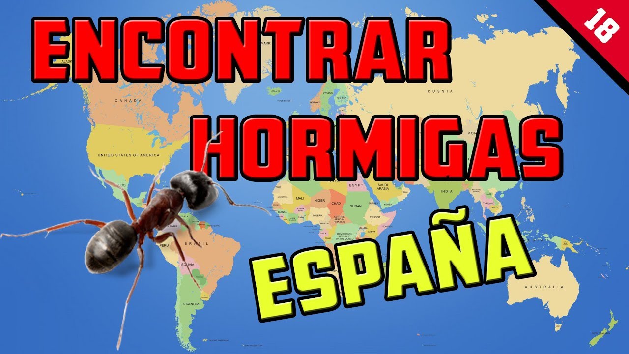 HORMIGAS DE ESPAÑA | DONDE ENCONTRARLAS