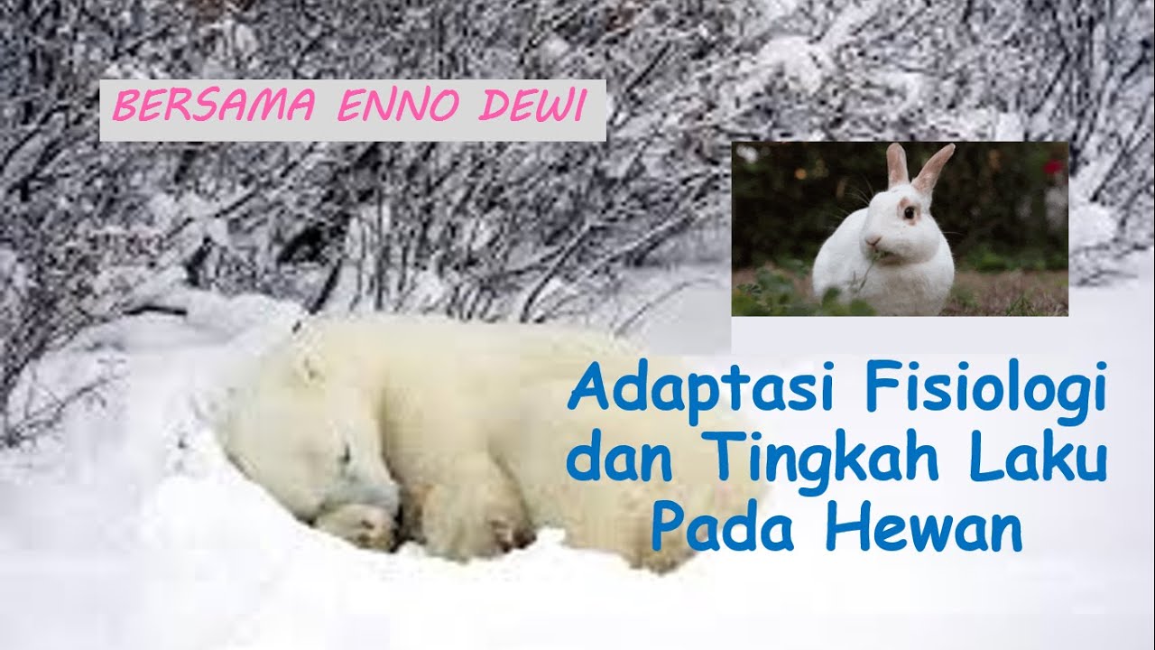 ADAPTASI FISIOLOGI DAN TINGKAH LAKU HEWAN || OSN SUKA BIOLOGI