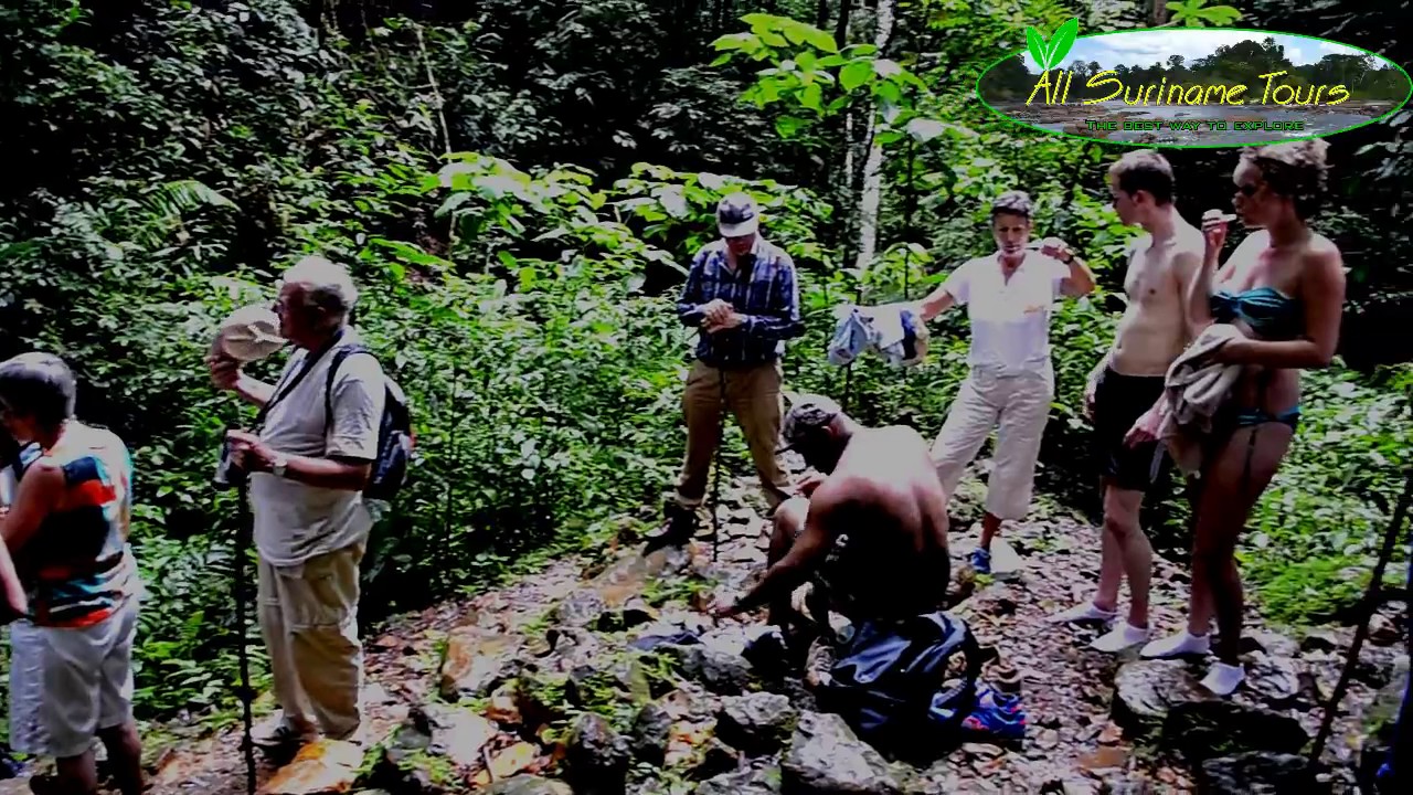 Brownsberg Day trip by All Suriname Tours