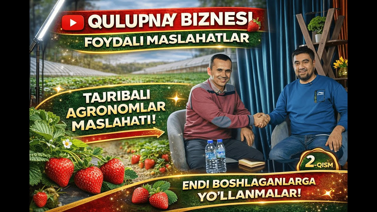 QULUPNAY BIZNESI | FOYDALI MASLAHATLAR | 2-QISM 🍓#agro #alba #uzbekistan #qulupnay #uzb #garden