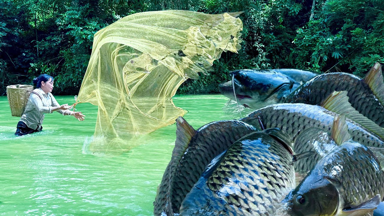 Traditional Fishing Skills - Single Mother Catches Giant Fish in Fishing Net After Massive Flood