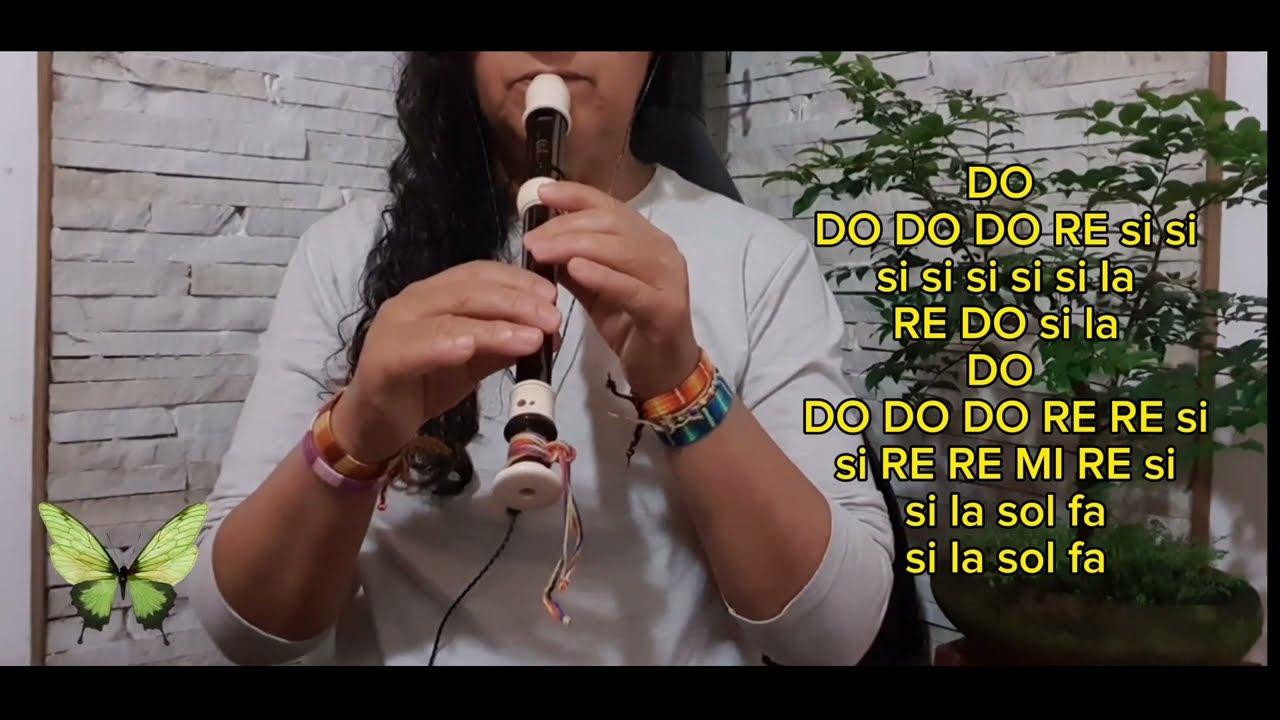 Sonnet  The Verve Flauta Doce