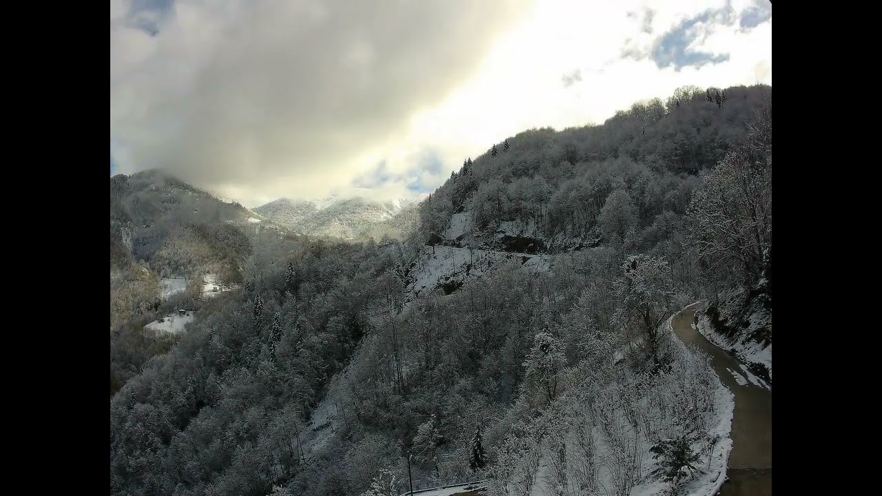 Gorgoras kış (2024)