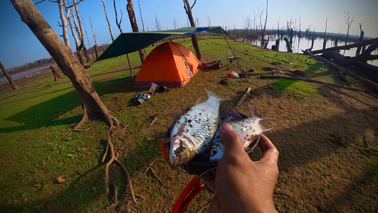 Solo camping and fishing trips | បោះតង់ បបក់ត្រី ដាក់មងក្បែរមាត់ទឹក