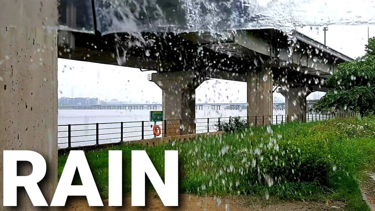 Walking in the Rain, Seoul, Nature Rain Ambience, The Soothing Sound of Rain Hitting the Umbrella