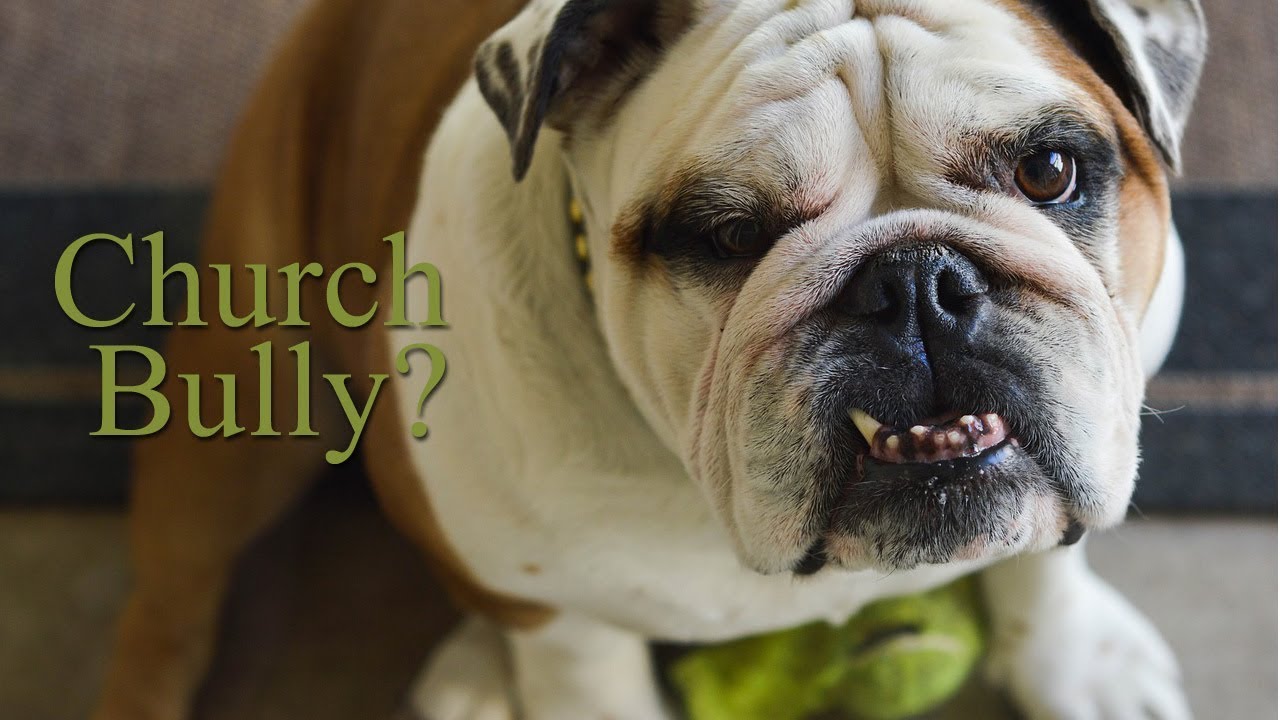 LftC 041 - Ten Way to Spot a Church Bully
