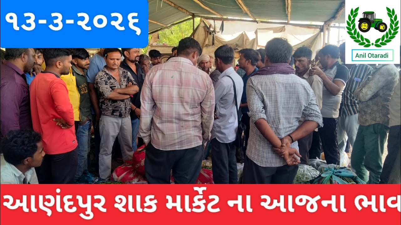 આણંદપુર શાક માર્કેટ ના આજના ભાવ #bajurbhav #anandpur #viral #agriculture 