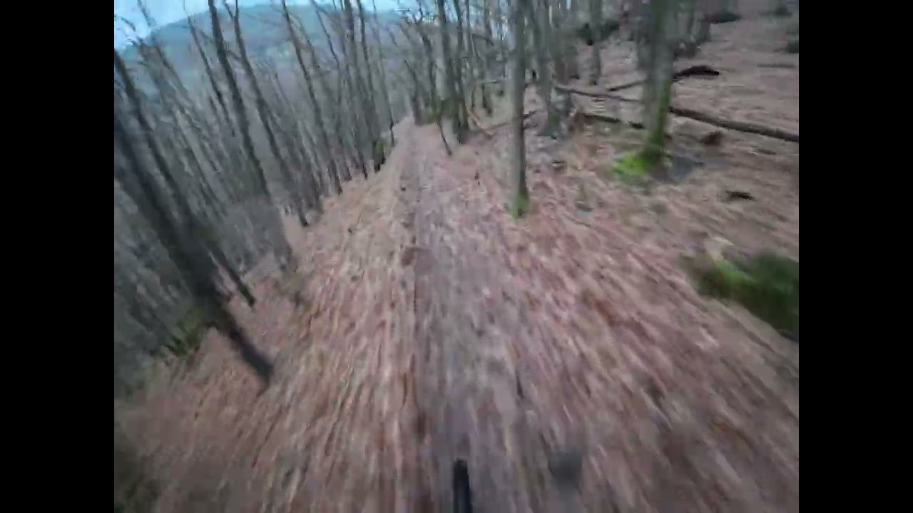 Trailview: Ahrtal, Schrock, Teufelslay, Burg Are Trail