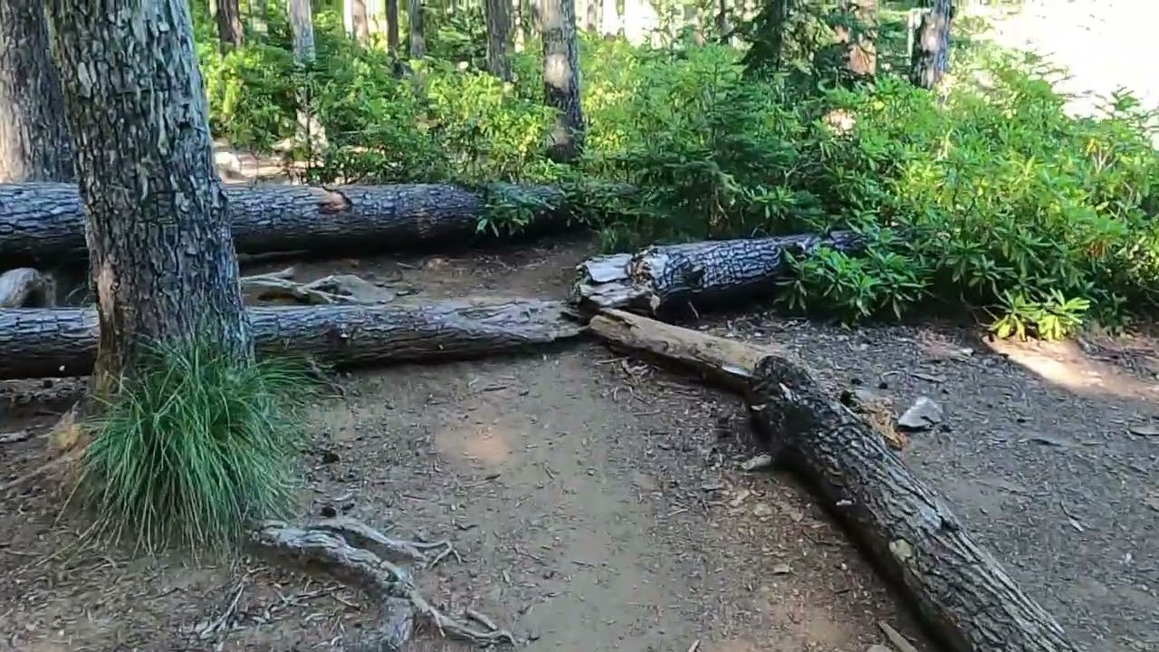 Pamelia Lake backpacking trip 2022