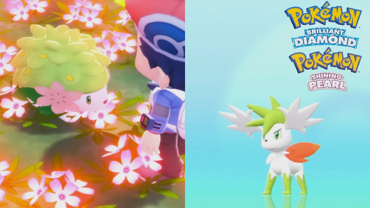 Pok&eacute;mon Brilliant Diamond & Shining Pearl - Route 224 Flower Paradise catching Shaymin & form