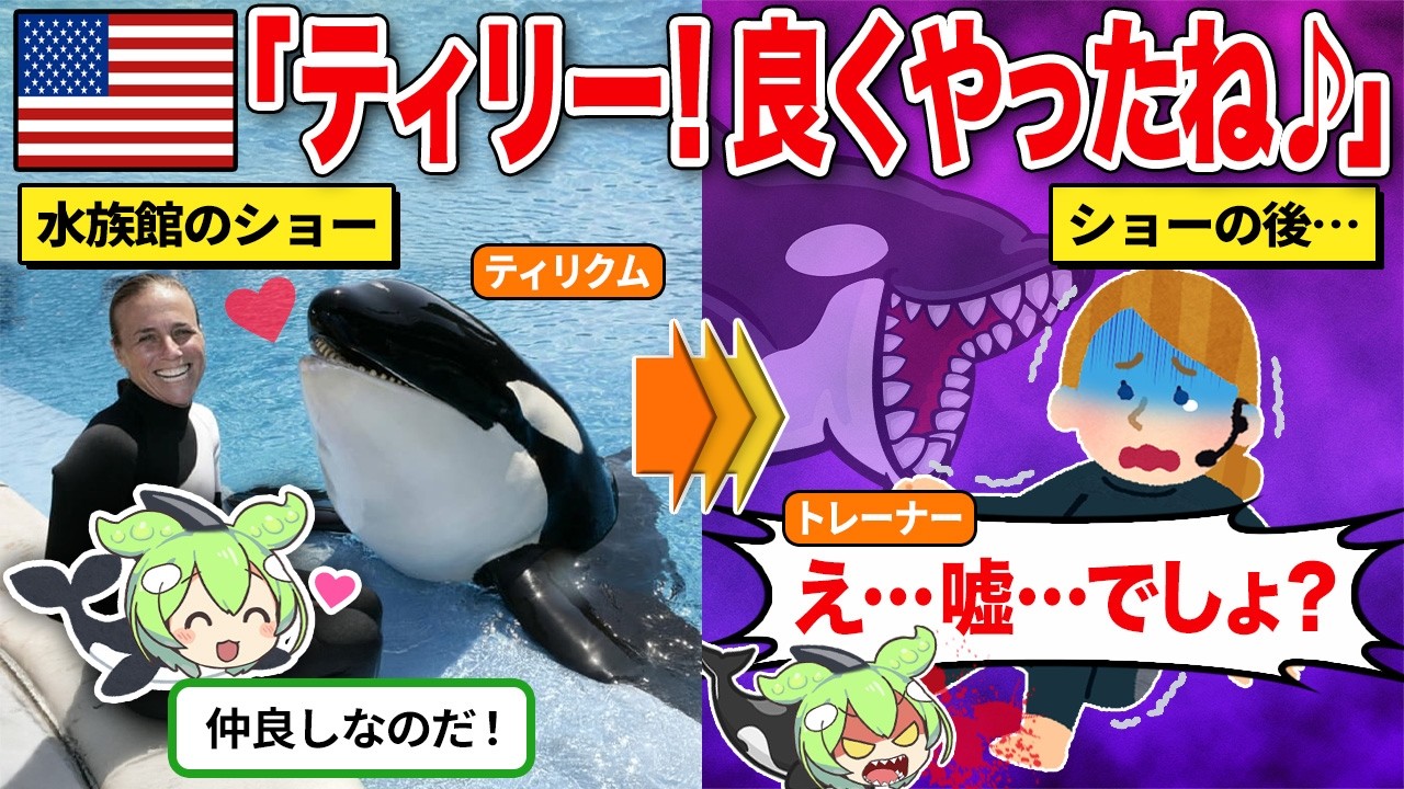 【実話】水族館で３人の命を奪ったシャチの