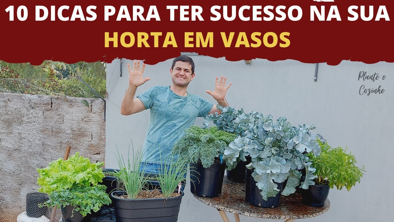 DEZ DICAS PARA TER SUCESSO NO CULTIVO DE UMA HORTA EM VASOS. INICIANDO UMA HORTA DO ZERO! (Ep92)
